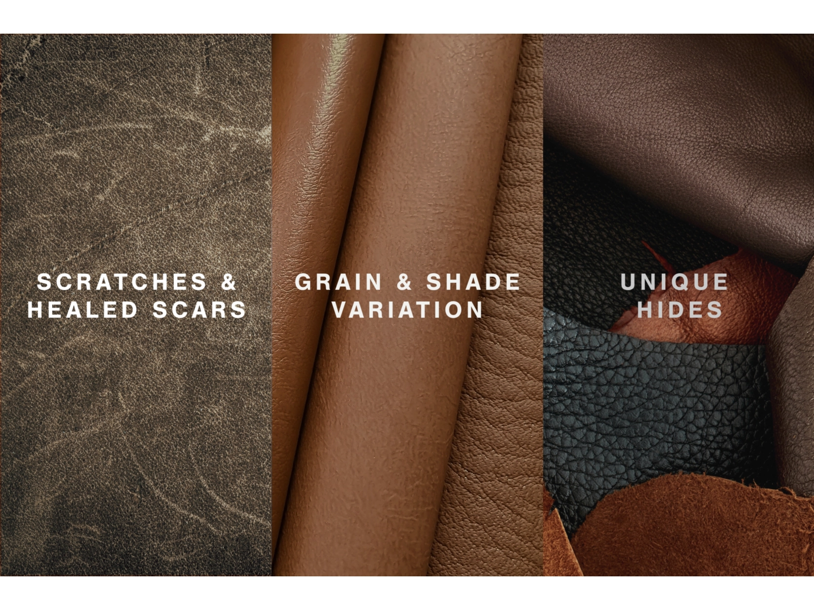 Amiata Leather Sofa - Image 10